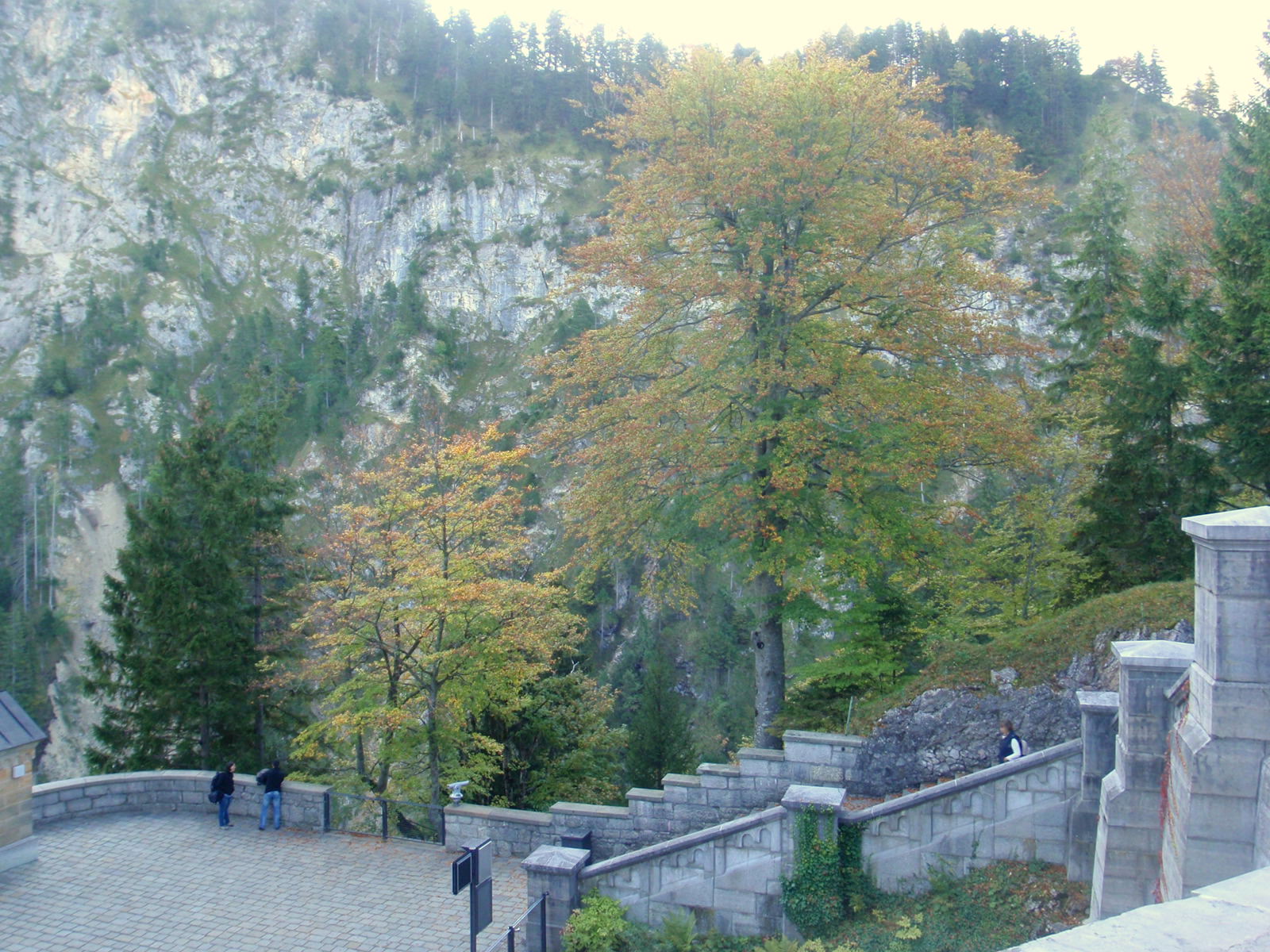 Schloss Neuschwanstein.